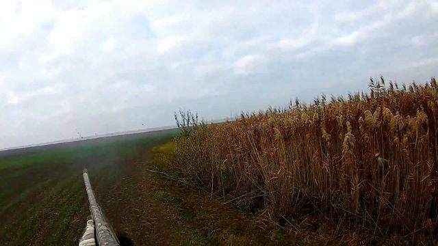 Охотничьи истории