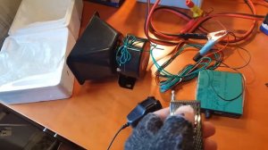 Сигнал звуковой СГУ на машину 12 вольт 100W 300 dB 8 звука Сирена Рупор Мегафон Продажа+79025204040