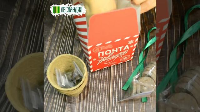Новогодний подарок 2021 Набор для выращивания смотреть онлайн