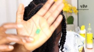 How to do a TWAID OUT on Natural Hair | Defined Curls on 4C Hair | DiscoveringNatural