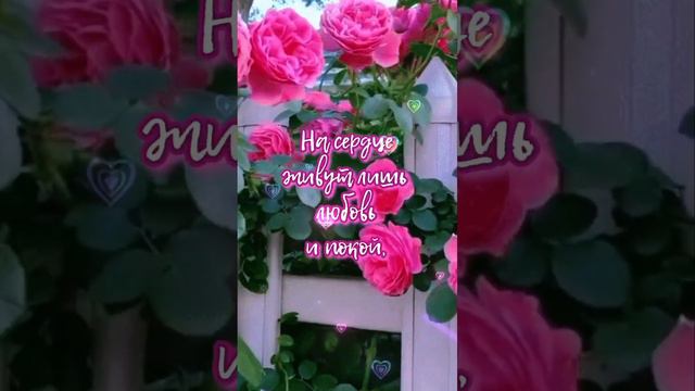 Добрый вечер смотреть онлайн