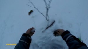 Нерестовый НАЛИМ со льда | Рыбалка на налима