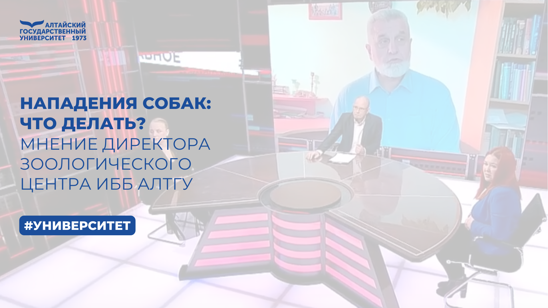 Нападения собак: что делать? — мнение директора Зоологического центра ИББ АлтГУ