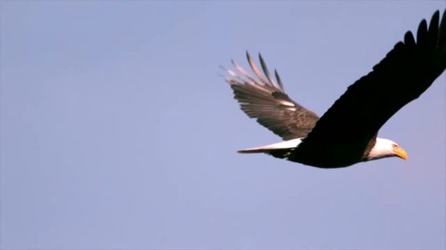 Славь Бога, русская душа! - Омск, Дом Актера, 04.11.17 смотреть онлайн