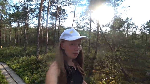 Уехали в Лес🏕️ смотреть онлайн