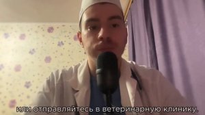 Диарея у собак. Лечение дома