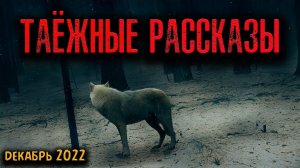 ТАЁЖНЫЕ РАССКАЗЫ | Страшные истории