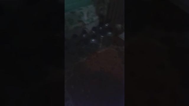 Вешаем постеры