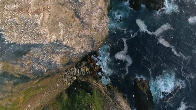 Wild.Shetland.Scotlands.Viking.Frontier 