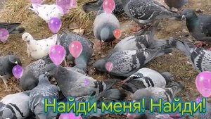 Иду прятаться?Найди меня?.mp4