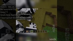 Как легко заспавнить коричневую панду в Minecraft