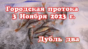 Якутск. Городская протока. Дубль два. 3 Ноября 2023г.