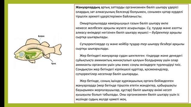 Ағзалардың тіршілігіндегі бөліп шығаратын өнімдері, 6-сынып жаратылыстану