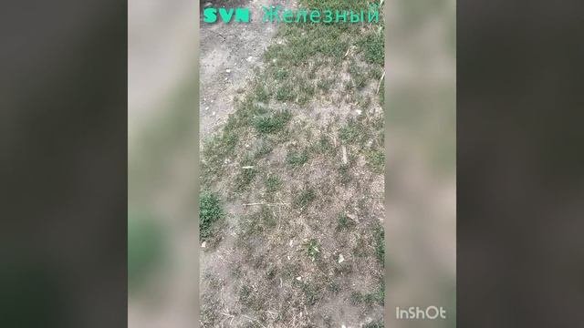 Очередные жалюзи.