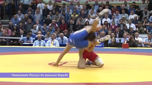 Вольная борьба