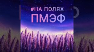 На полях ПМЭФ. Блок 2. Бюджетный