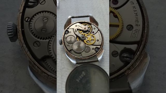 25 июня 2024 г. смотреть онлайн