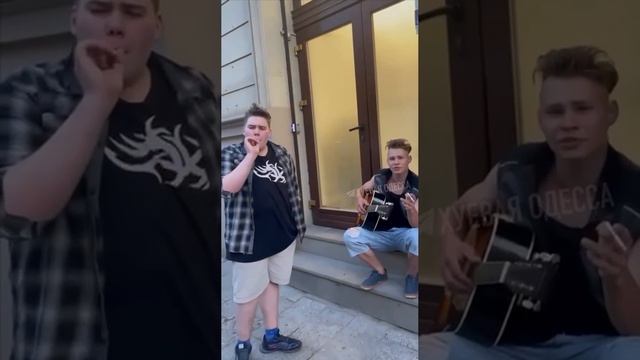 Во Львове дама докопалась до уличного музыканта.