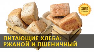 Питающие ржаные и пшеничные хлеба  на закваске [цельнозерновой, бездрожжевой] - Хлеб для жизни