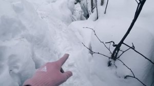 ПЕРВЫЙ ЛЫЖНЫЙ ПОХОД. ЗАМУЧИЛАСЬ ПАДАТЬ! НЕПОХОДНИЦА.