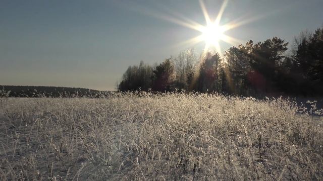 Футаж: иней и солнце смотреть онлайн