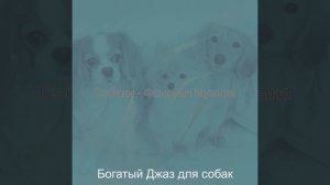 Атмосфера (Выгул собак)