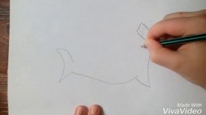Как нарисовать акулу молот