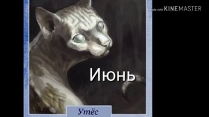 †Кто ты из котов воителей по месяцу?†