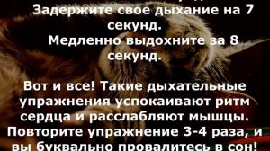 Как заснуть за 1 минуту