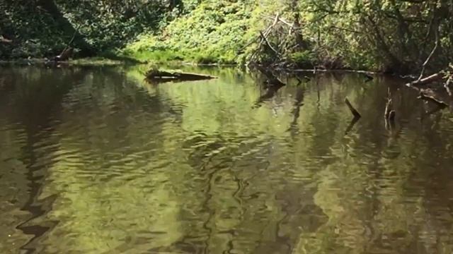 ОТДЫХ НА ДУБРОВЕНСКОМ ОЗЕРЕ смотреть онлайн