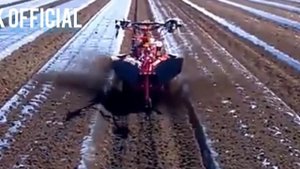 Amazing japan Garlic Agriculture Technology farming and Harvest.