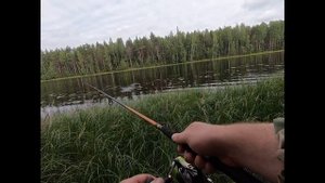 Хорватское яйцо. убийца щук!