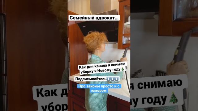 Уборка дома. Семейный адвокат перед Новым годом. Пароочиститель Керхер. Про законы с юмором