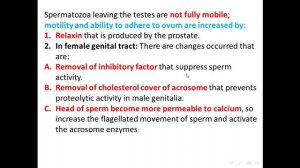 [[ Physiology ]] : Endocrine System ( Male Reproductive System ) ( Part 2 )