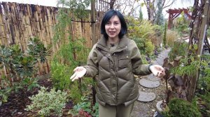 ОБЗОР САДА 19 декабря 2023 ЧТО ЦВЕТЕТ В ЮЖНОМ САДУ ЗИМОЙ