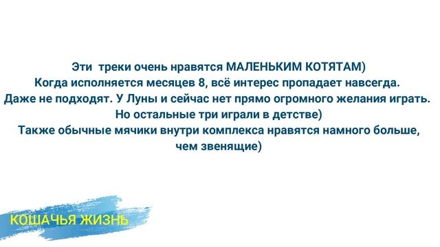 Как выбрать игрушку для кошки?