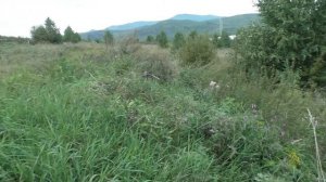 По кроссовой трассе на хонда ах-1