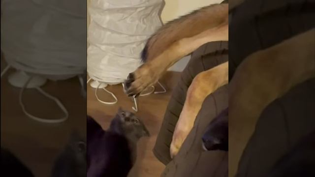 Так и манит...