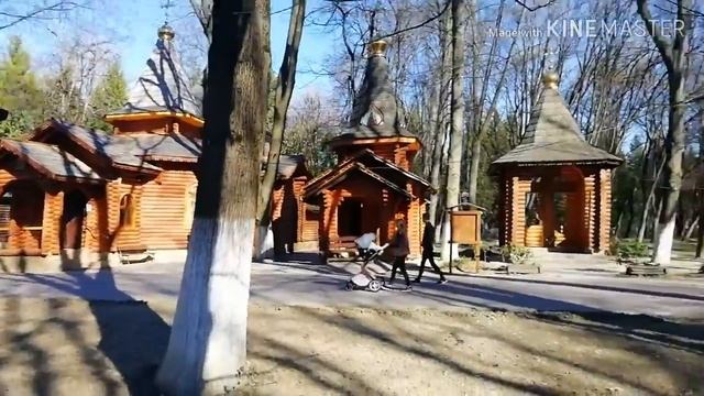 #ужгород #весна #парк #бельчата
УЖГОРОД В Марте Закарпатье смотреть онлайн