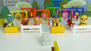 Paw Patrol Wind-Up Toys Race for the Championship!