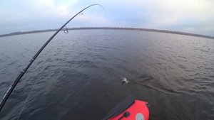 Как искать клёвое место. Как ловить щуку, окуня на большом водоёме