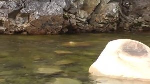 Ловля хариуса на верховую мушку. Чёрт знает где, конечно!