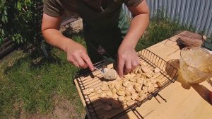 Пельмени на мангале!!! Шашлык из пельменей :)