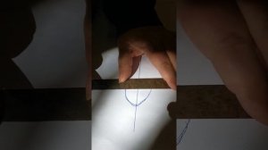 Как измерить лапу для обуви собаке