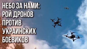 FPV-революция: как ВС России осваивают дроны-камикадзе