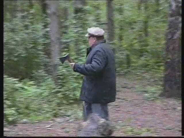 Сумасшествие