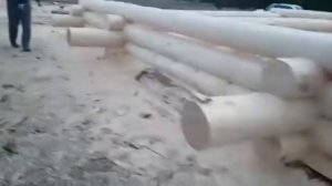 Сруб бани 6х7 + 3м выпуска под веранду. Рубка в чашу, дикий угол - СмолДом, Велиж