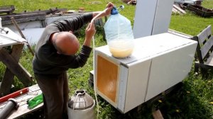 Слив браги из пластиковой кеги в перегонный куб