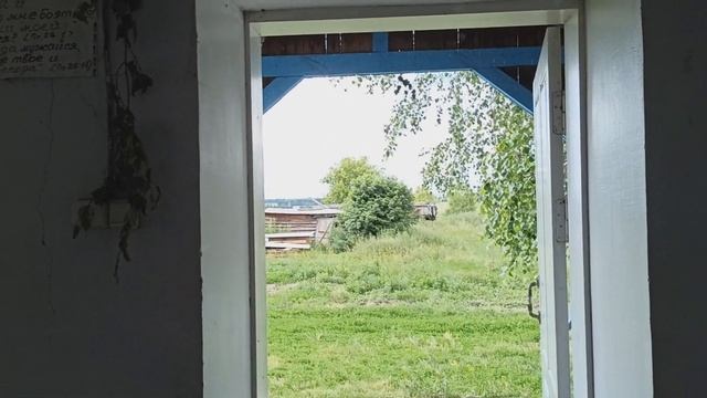 Куда девается трава и ветки в храме после праздника Троицы? Кто забрал всю траву из храма –показыва смотреть онлайн