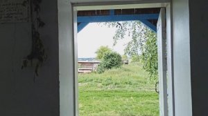 Куда девается трава и ветки в храме после праздника Троицы? Кто забрал всю траву из храма –показыва